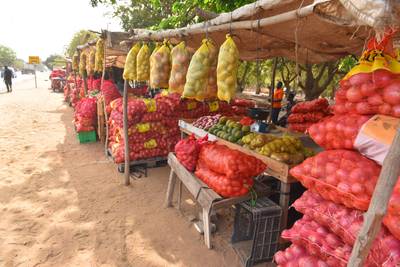 Onion project in full swing