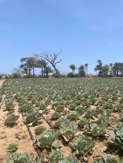 Field update April 2025