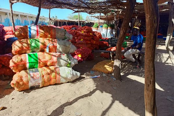 Improved Storage Solutions - foto 4