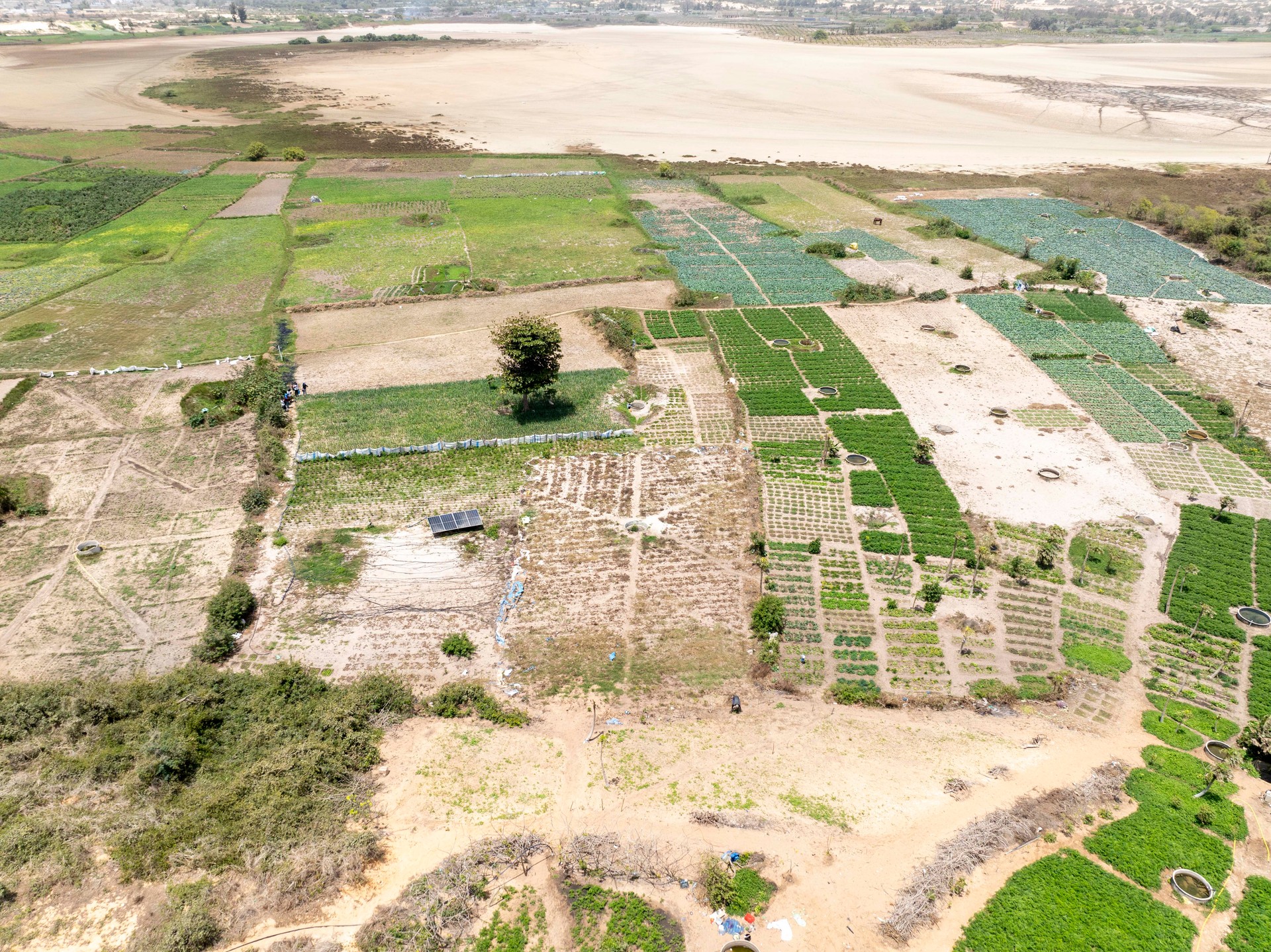 Map of Senegal highlighting the Niayes region